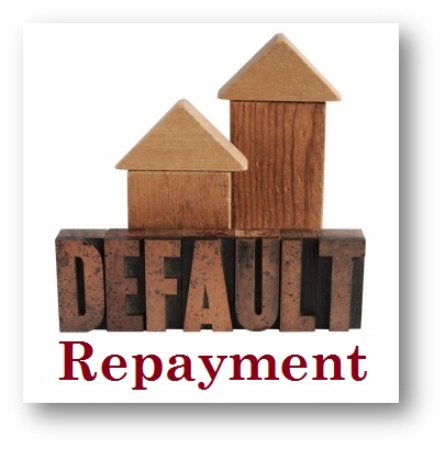 Default Repayment